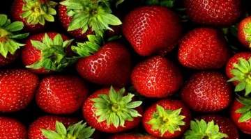 الرمان والفراولة بـ15 جنيه.. أسعار الفاكهة اليوم السبت 13 ديسمبر